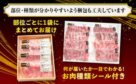 【定期便全3回】宮崎牛焼肉食べ比べ4種～8種盛り 合計800g 焼肉 最高級 ブランド