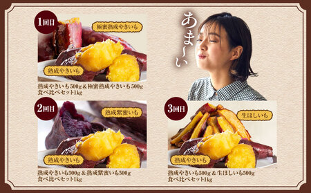 【定期便・全3回】SAZANKA　熟成やきいも食べ比べセット 熟成 焼き芋 さつまいも 食べ比べ