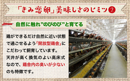 新鮮赤卵「きみ恋卵」25個_LE-2901_(都城市) 赤卵 きみ恋卵 Ｍサイズ 25個 30個 卵かけご飯 ゆで卵 お菓子作り