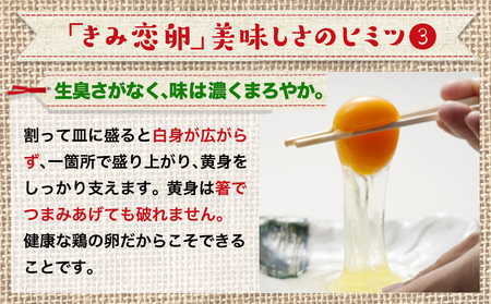 新鮮赤卵「きみ恋卵」25個_LE-2901_(都城市) 赤卵 きみ恋卵 Ｍサイズ 25個 30個 卵かけご飯 ゆで卵 お菓子作り