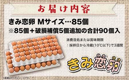 新鮮赤卵「きみ恋卵」85個_AO-2901_(都城市) 赤卵 きみ恋卵 Ｍサイズ 85個 90個 卵かけご飯 ゆで卵 お菓子作り