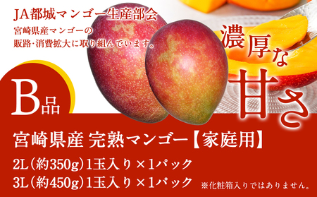 先行受付!】宮崎県産完熟マンゴー(B品)【2L×1玉、3L×1玉】≪2024年5月