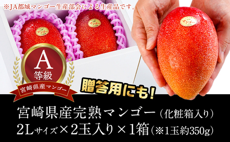 40 【宮崎県産】マンゴー (完熟マンゴー) 2Lサイズ 9玉入 【公式通販】