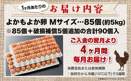 よかもよか卵85個の定期便(4ヶ月)_T60-4-2901_(都城市) 卵 定期便 Mサイズ こだわりの卵