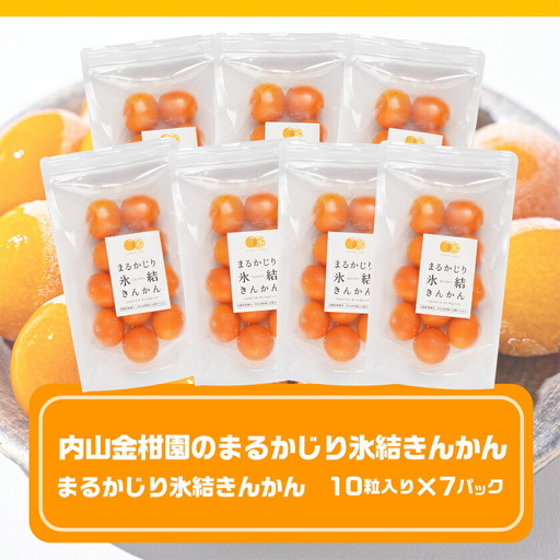 内山金柑園のまるかじり氷結きんかん7パック_AO-J703_(都城市) 内山金柑園 完熟きんかん 氷結きんかん 急速冷凍 糖度16％以上 シャーベット 10粒