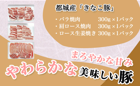 「きなこ豚」焼肉900gセット_AA-1201_(都城市) 宮崎県産豚肉 きなこ豚 豚バラ焼肉用 (300g) 豚肩ロース焼肉用 (300g) ロース生姜焼き用 (300g) BBQセット バーベキュー 焼き肉セット