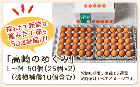 アスタキサンチン入り赤卵「高崎のめぐみ」50個_AA-6801_(都城市) 赤卵(50個 L～Mサイズ) 採れたて 新鮮たまご 卵かけご飯　お菓子作り 玉子料理 美容 健康 アスタキサンチン入り