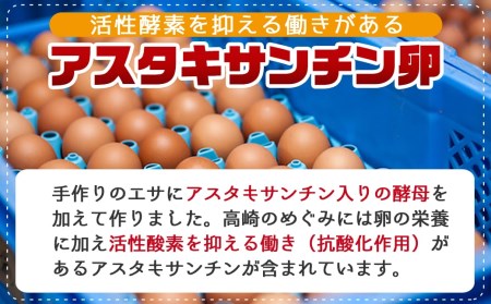 アスタキサンチン入り赤卵「高崎のめぐみ」50個_AA-6801_(都城市) 赤卵(50個 L～Mサイズ) 採れたて 新鮮たまご 卵かけご飯　お菓子作り 玉子料理 美容 健康 アスタキサンチン入り