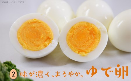 新鮮赤卵「きみ恋卵」110個_MJ-2904_(都城市) 河中農園 味が濃くてまろやかなたまご 玉子 破損補償 レシチン お菓子作り