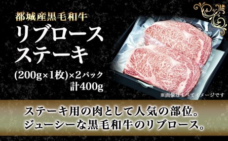 黒毛和牛リブロースステーキ200g×2枚_16-3302_(都城市) 都城産黒毛和牛 牛肉 リブロースステーキ 200g 2パック 計400グラム 国産 九州産 宮崎県産