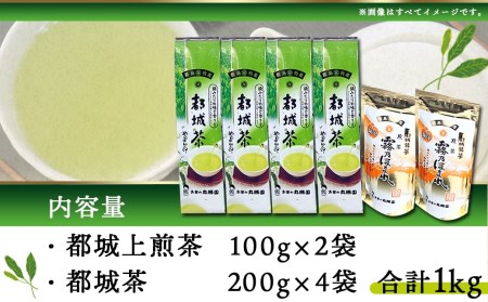 都城茶1kgおすすめセット_MJ-4001_(都城市) 丸勝園 都城上煎茶 100g×2本 都城茶 200g×4本 緑茶 厳選茶葉使用の都城銘産  霧島特産 やよい印の都城茶 霧乃ほまれ お茶所 | 宮崎県都城市 | ふるさと納税サイト「ふるなび」