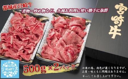 宮崎牛切り落とし1kg_MJ-6405_(都城市) 500g×2パック 計1キロ 冷凍保存可 牛モモ肉 牛バラ肉 ミックス 肉じゃが カレー 炒め物 すき焼きなどに 国産黒毛和牛