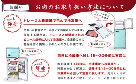 宮崎牛切り落とし1kg_MJ-6405_(都城市) 500g×2パック 計1キロ 冷凍保存可 牛モモ肉 牛バラ肉 ミックス 肉じゃが カレー 炒め物 すき焼きなどに 国産黒毛和牛