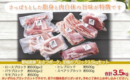 「おさつポーク」ブロック3.5kgセット_AC-1402_(都城市) 宮崎県産豚肉 ブロックカットセット ブランドポーク もも ステーキ モモブロック ヒレブロック バラブロック ロースブロック BBQ
