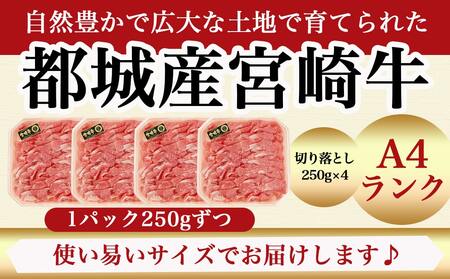 宮崎牛切り落とし1kg(250g×4パック)_AC-5401_(都城市) 牛肉 国産黒毛和牛 都城産宮崎牛 (A4ランク) 4等級 切落し (250g×4) 合計1キロ すき焼き 牛鍋 炒めもの 牛丼 四等級