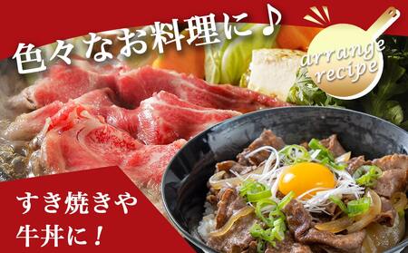 宮崎牛切り落とし1kg(250g×4パック)_AC-5401_(都城市) 牛肉 国産黒毛和牛 都城産宮崎牛 (A4ランク) 4等級 切落し (250g×4) 合計1キロ すき焼き 牛鍋 炒めもの 牛丼 四等級