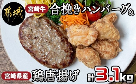 AC-9201_宮崎牛ハンバーグと鶏唐揚げ3.1kgセット