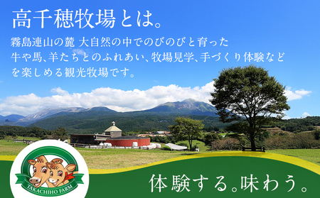 高千穂牧場ドリンク&ヨーグルトセット《ご入金翌月の中旬～下旬の水曜日頃出荷》_19-1602_(都城市) 乳製品 のむヨーグルト カフェオレ 和紅茶オレ ヨーグルト 苺ヨーグルト 季節のヨーグルト