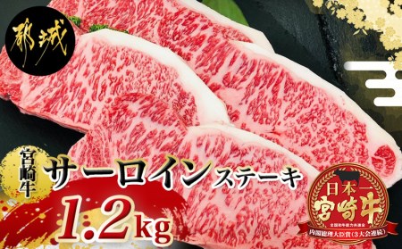MB-4202_都城産宮崎牛サーロインステーキ1.2kg
