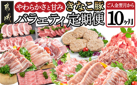 「きなこ豚」バラエティ定期便(10ヶ月)_T120（10）-1202_(都城市) 宮崎県産豚肉 都城産きなこ豚 豚バラ ロース 肩ロース ウデ・モモ ミンチ ハンバーグ 小間切れ しゃぶしゃぶ とんかつ 焼き肉 生姜焼き