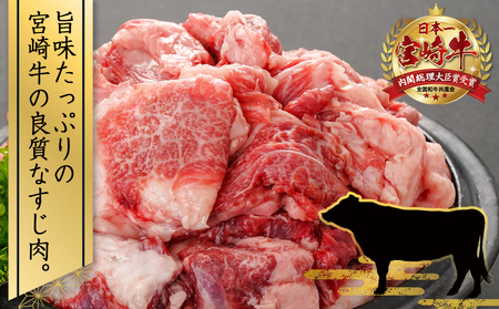 宮崎牛のすじ肉1kg (500g×2パック)_AO-7703_(都城市) 宮崎牛 すじ肉 1kg 500g 2パック 真空 カレー ビーフシチュー 肉じゃが 牛丼 煮込み料理