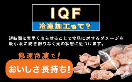 カット済み!南九州産若鶏肉もも切身(IQF)3.12kg_12-L601_(都城市) 南九州産 若鶏 もも切身 3.12kg 260g 12袋 小分け IQF加工