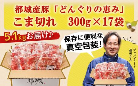 2024年2月お届け】「どんぐりの恵み豚」こま切れ5.1kg_17-1103-2402_(