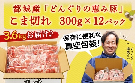 「どんぐりの恵み豚」こま切れ3.6kg_MJ-1115_(都城市) 都城産 こま切れ どんぐりの恵み豚 どんぐり粉 コプラフレーク こだわり 「コク」「サッパリ」野菜炒め 豚汁