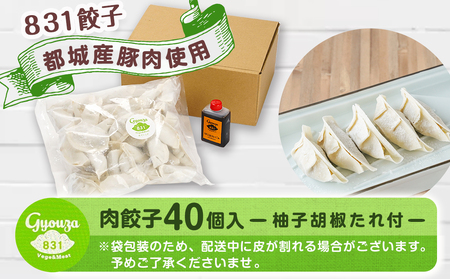831ハチサンイチの肉餃子40個入り≪みやこんじょ特急便≫_LE-K601-Q_(都城市) 肉餃子 都城産豚使用 柚子胡椒たれ付 