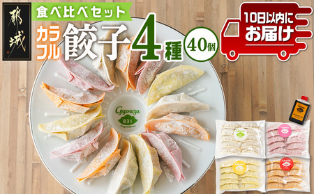 カラフル冷凍生餃子 食べ比べセット4種合計40個★肉・梅しそ・チーズ・キムチ★ ≪みやこんじょ特急便≫_LG-K601-Q_(都城市) 肉餃子 都城産豚肉使用 合計40個 4種類 柚子胡椒たれ付