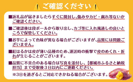 芋名人が認めるさつまいも『洗い済み　紅はるか』2Lサイズ_LD-L702_(都城市) 宮崎県都城産 紅はるか 2Lサイズ