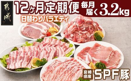 ≪12回連続お届け≫「宮崎SPF豚」日替わりバラエティセット定期便_T192-12-K901_(都城市) 宮崎県産豚 小間切れ ロース・ステーキ用 肩ロース バラ焼肉用 しゃぶ SPF豚 健康豚 真空パック