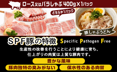 ≪隔月3回お届け≫「宮崎SPF豚」日替わりバラエティセット定期便_T48-3-K902_(都城市) 宮崎県産豚 小間切れ ロース 肩ローススライス バラ ステーキ 焼肉 しゃぶしゃぶ 真空
