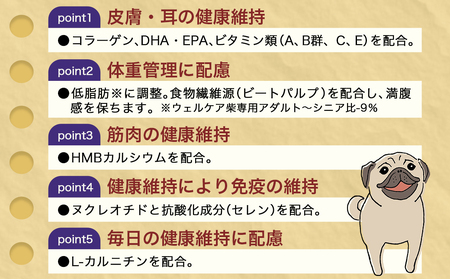 ドッグフード(パグ専用)アダルト～シニア5.5kg_LG-3312_(都城市) 健康維持 コラーゲン DHA・EPA・ビタミン類（A、B群、C、E）トータルケア 体重管理 筋肉の健康維持 犬用フード