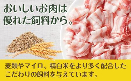 パシオポークバラしゃぶしゃぶ2.5kg(250g×10パック)_AC-5406_(都城市) 都城産 パシオポーク バラ コクと旨味 コプラフレーク 300gずつ 10P