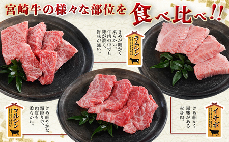 【数量限定】宮崎牛9種盛り焼肉セット(各600g×3P)_MM-3101_(都城市) 宮崎牛 ラムシン マルシン イチボ サーロイン ザブトン 肩ロース ショートリブ カルビ 内モモ ギフト 贈答用