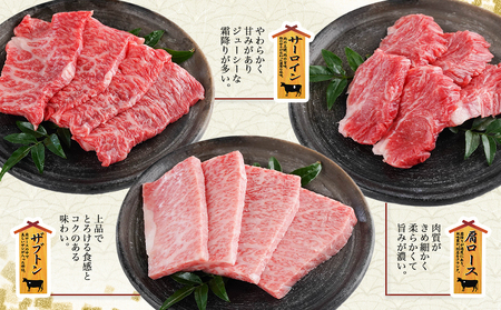 【数量限定】宮崎牛9種盛り焼肉セット(各600g×3P)_MM-3101_(都城市) 宮崎牛 ラムシン マルシン イチボ サーロイン ザブトン 肩ロース ショートリブ カルビ 内モモ ギフト 贈答用