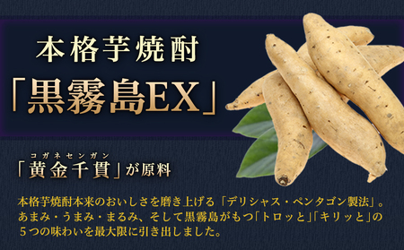 【霧島酒造】黒霧島EXパック(25度)1.8L×2本 ≪みやこんじょ特急便≫_MJ-0752_(都城市) 焼酎 黒霧島EX パック 25度 1.8L 本格芋焼酎 