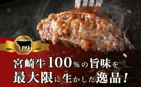 宮崎牛100%プレミアムハンバーグ130g×5個_LG-3103_(都城市)  都城産宮崎牛 ハンバーグ 130g 10個 オリジナルハンバーグ おかず 牛