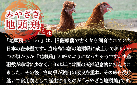 みやざき地頭鶏の炭火焼き真空パック3個(ゆずこしょう付)_AA-J709_(都城市) 地頭鶏の炭火焼き 120g×3 宮崎県産青ゆずこしょう 20g×1 モモ・ムネ肉 真空パック 炭火焼き 地鶏