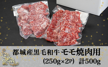 黒毛和牛モモ焼肉用500g_14-3302_ (都城市) 都城産黒毛和牛 モモ 250g×2P 黒毛和牛 牛肉 焼肉 小分け 真空パック 冷凍