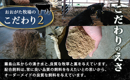 黒毛和牛モモ焼肉用500g_14-3302_ (都城市) 都城産黒毛和牛 モモ 250g×2P 黒毛和牛 牛肉 焼肉 小分け 真空パック 冷凍