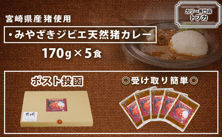 トプカ☆みやざきジビエ天然猪カレー5食セット※ポスト投函_LD-J905_(都城市) カレー専門店 手づくり イノシシ ジビエカレー 和風 レトルト ポスト投函