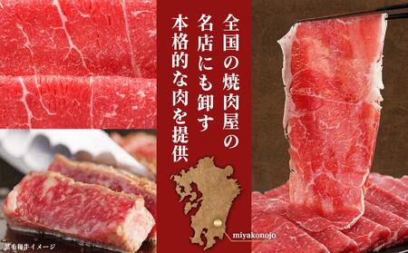 【黒毛和牛】赤身すき焼き1kg(500g×2パック)≪みやこんじょ特急便≫_MJ-I902-Q_(都城市) 国産黒毛和牛 赤身 ウデまたはモモ すき焼き しゃぶしゃぶ 500g×2パック