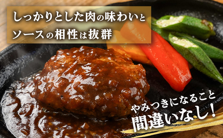 霧島黒豚煮込みハンバーグ(デミグラスソース仕立て)8個セット_LG-2802_(都城市) 霧島黒豚煮込みハンバーグ デミグラスソース仕立て 120g×8個 加工品