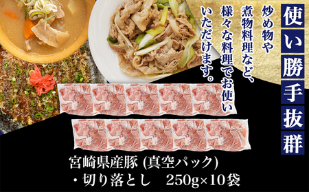 宮崎県産豚切り落とし2.5kg(真空)_12-8407_(都城市) 豚肉 切り落とし (250g×10) 小分け 真空 宮崎県産豚2.5キロ 炒めもの 鍋物 しゃぶしゃぶ