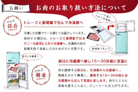 宮崎県産豚切り落とし2.5kg(真空)_12-8407_(都城市) 豚肉 切り落とし (250g×10) 小分け 真空 宮崎県産豚2.5キロ 炒めもの 鍋物 しゃぶしゃぶ