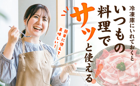 宮崎県産豚わくわく3.6kgセット_17-8406_(都城市) 宮崎県産豚 しゃぶしゃぶ バラ 焼肉 切り落とし 肩ローススライス ロース とんかつ ミンチ