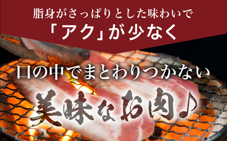 宮崎県産豚わくわく4.1kgセット(真空)_18-8401-s_(都城市) 宮崎県産豚 しゃぶしゃぶ バラ 焼肉 切り落とし 肩ローススライス ロース とんかつ ミンチ