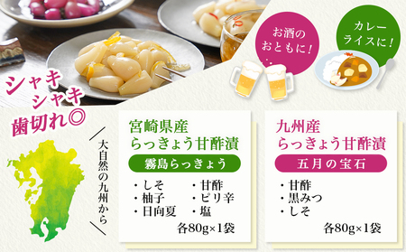 霧島らっきょう6種・五月の宝石3種セット_14-C802_(都城市) 宮崎県産 霧島らっきょう 九州産 らっきょう甘酢漬 しそ 甘酢 柚子 ピリ辛 日向夏 塩 甘酢 黒みつ 80g 老舗らっきょう屋